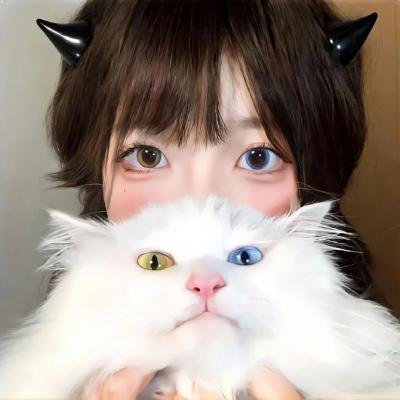 房子与狗